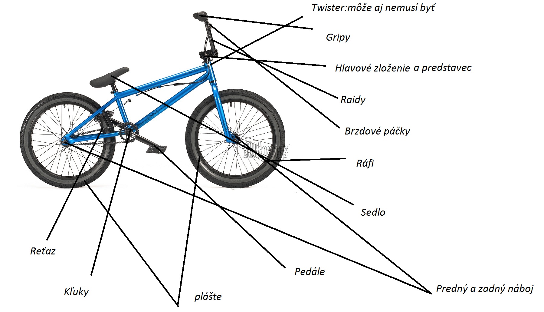 BMX_WETHEPEOPLE__5062da2e5f60a